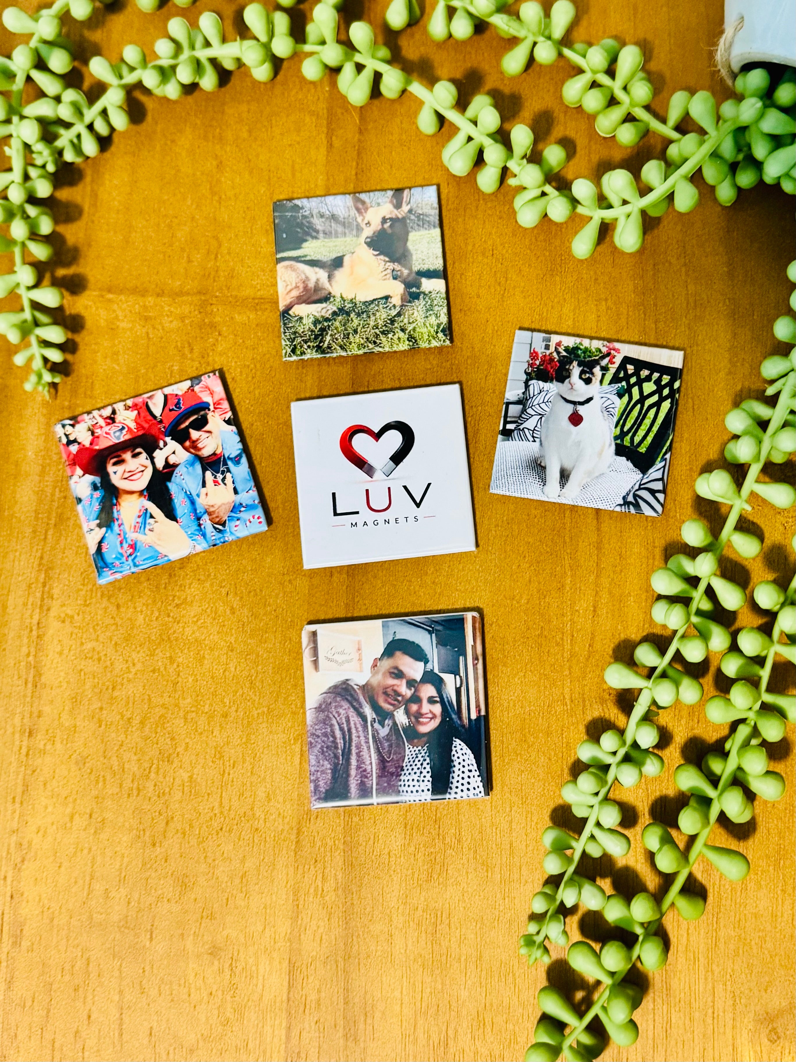 5 Pack 2x2 Magnets